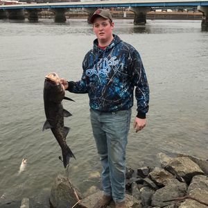 Meet your Posher, Cole